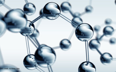 What are Collagen Peptides?